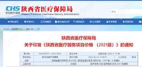 陜西省醫(yī)療項目收費
