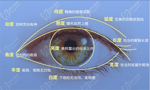 杜園園雙眼皮修復(fù)技術(shù)怎么樣